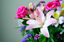 Fleurs pour enterrement à Combs-la-Ville